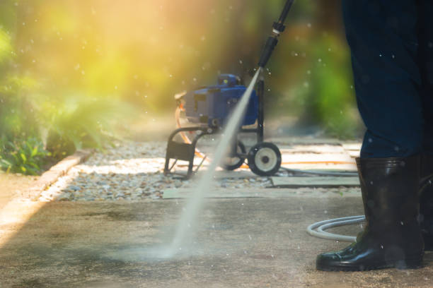 Trusted Blackville, SC Pressure Washing Services Experts